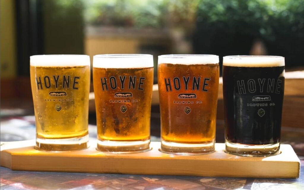 a selection of beers from hoyne brewing's award winning lineup