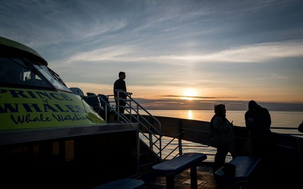 A Victoria Sunset Whale Watching Tour vessel sails through the Salish Sea.