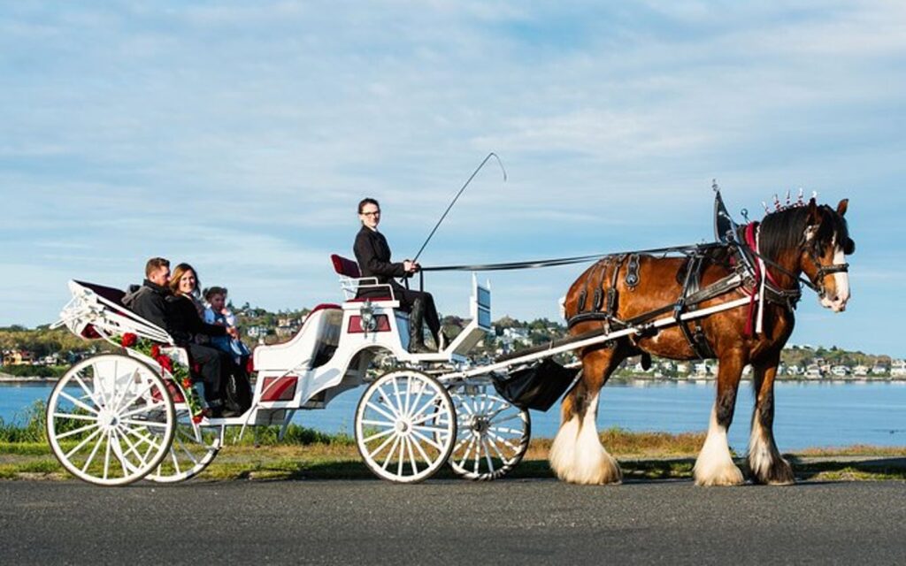 guests on a beacon hill horse carriage ride in victoria bc