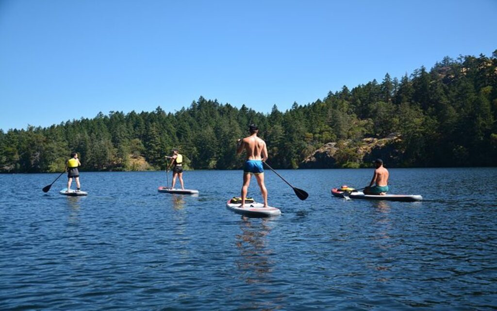 a group paddleboards through the gorge waterway outside of victoria, bc.