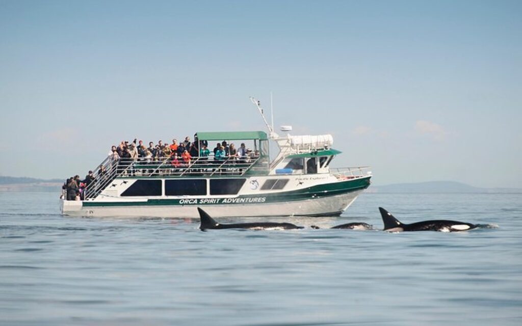 a group aboard a victoria whale watching tour from fisherman's wharf