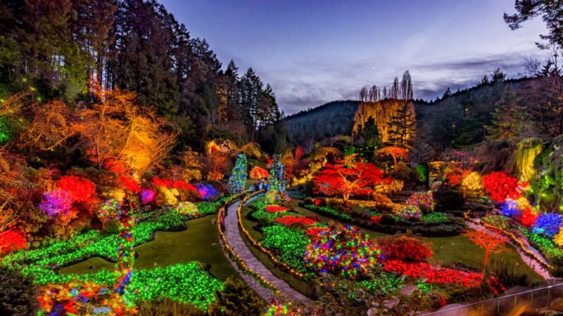 A view of Butchart Gardens in Victoria in December.