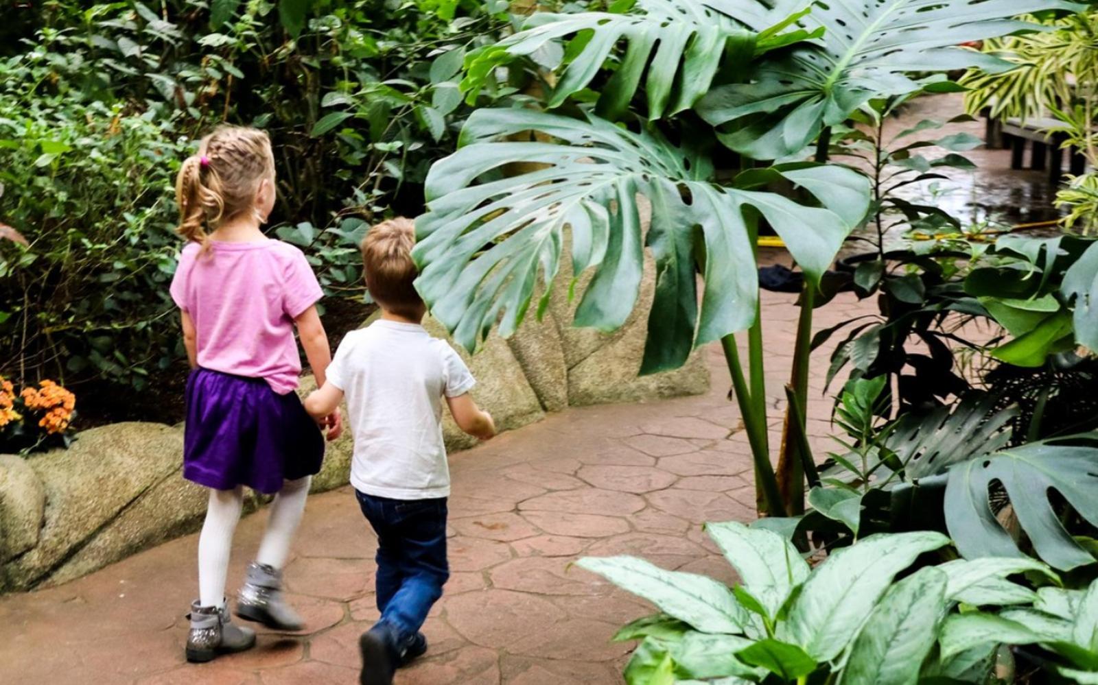 a brother and sister enjoy butterfly gardens, one of the best things to do in victoria for families