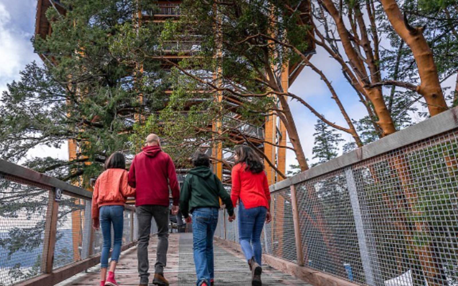a group approaches the malahat skywalk, one of the best things to do in victoria for families.