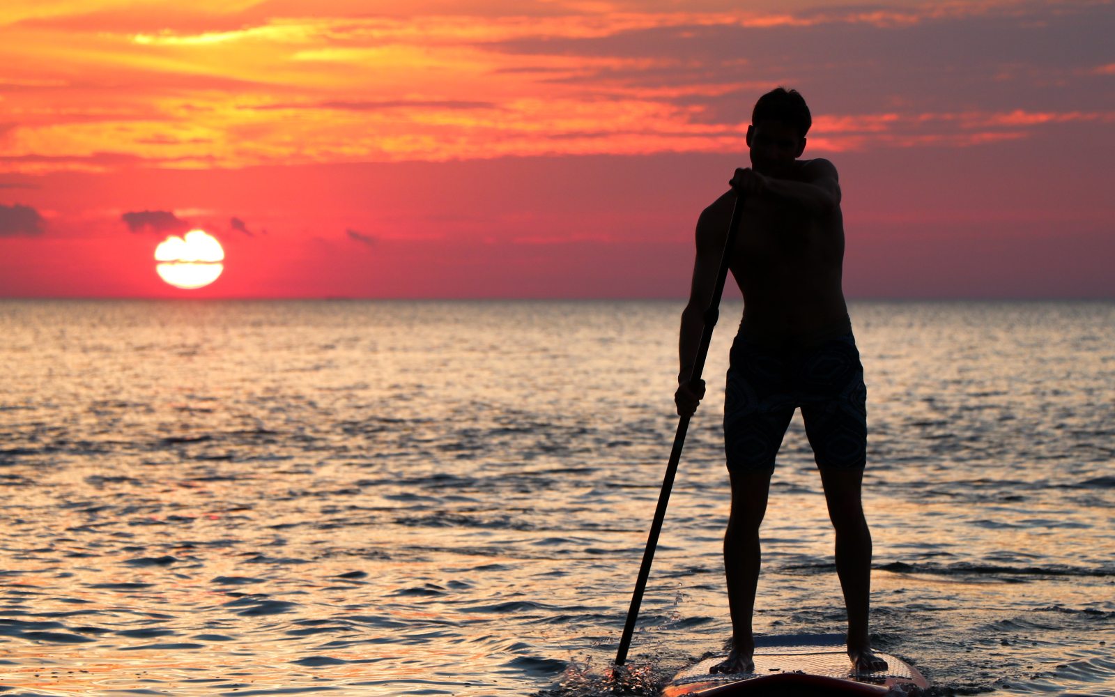 a man enjoys paddleboarding in victoria at sunset.