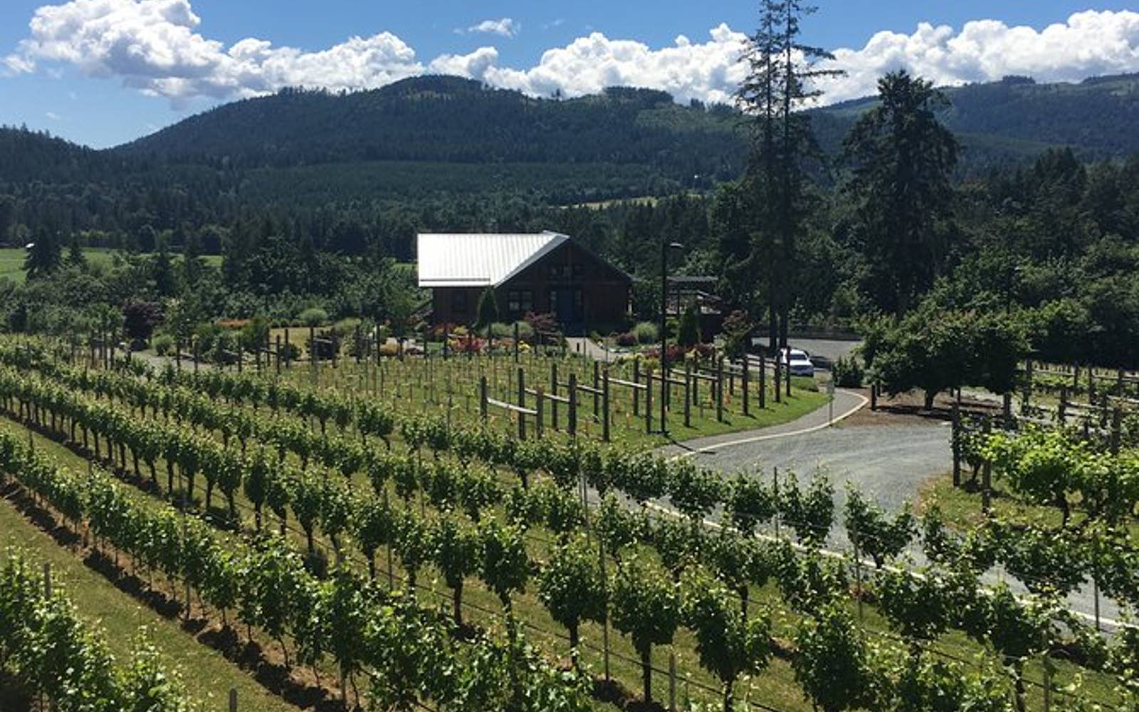 a cowichan valley winery as seen on a victoria wine tour.