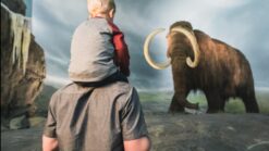 a father and son check out a wooly mammoth at the Royal BC Museum, Victoria, BC.