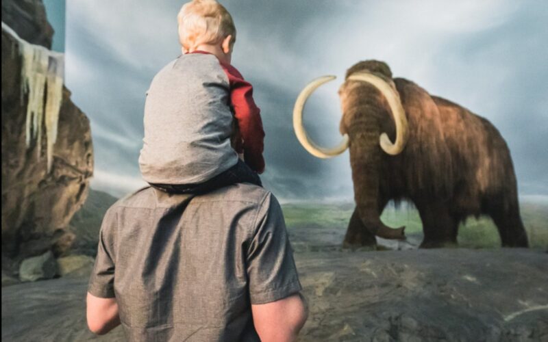 a father and son check out a wooly mammoth at the Royal BC Museum, Victoria, BC.