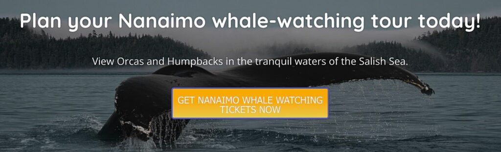 a banner for booking Nanaimo whale watching tours.
