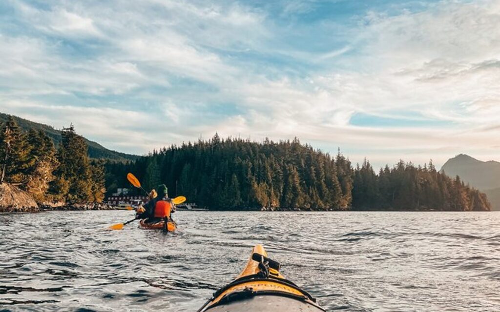 a groups paddles along on a Telegraph Cove kayaking tour.