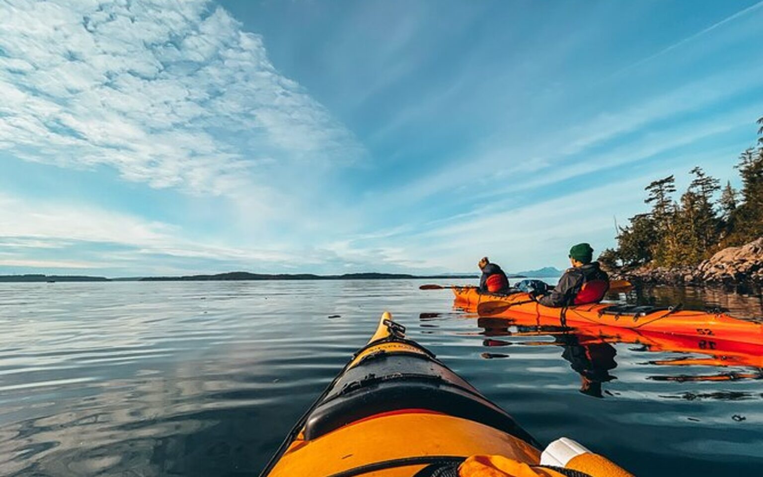 Telegraph Cove Kayaking Paddling Through Paradise Victoria Tourism Guide