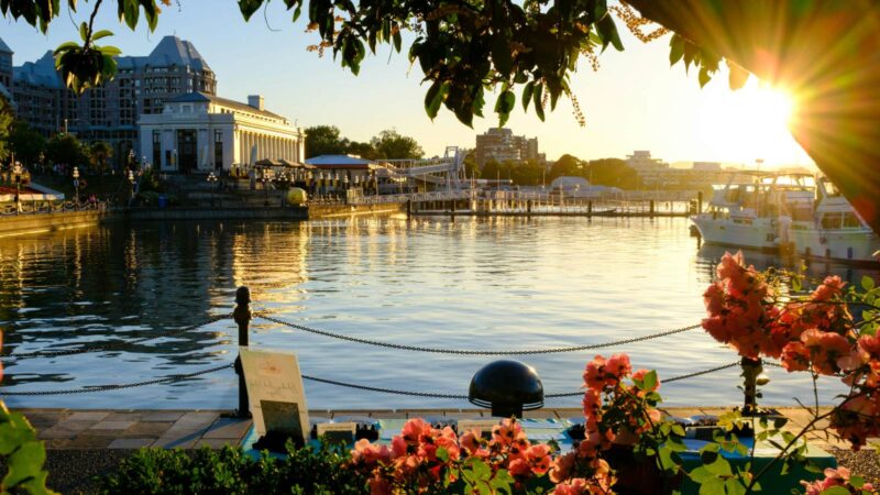 A golden hour shot of the Inner Harbour in Victoria in April.