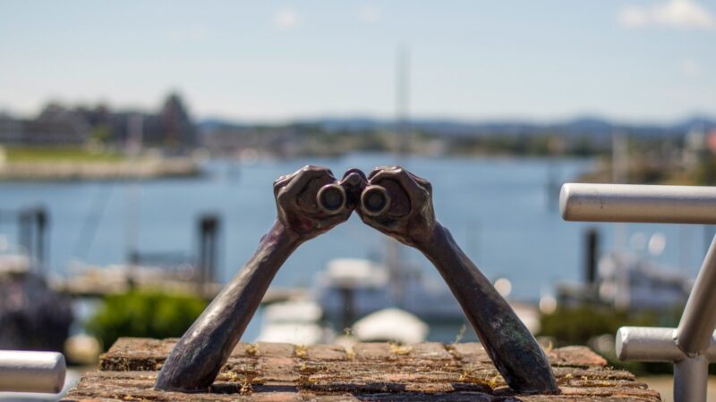 A view of a set of binoculars in the Inner Harbour in Victoria in August.