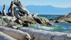 A snapshot of a beach in Victoria in May.