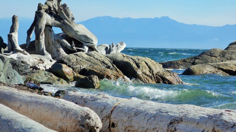 A snapshot of a beach in Victoria in May.