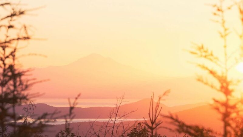 A snapshot of the beautiful scenery on a Cowichan Valley day trip from Victoria.