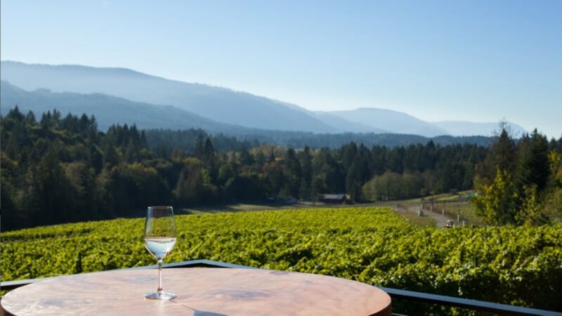 A glass of pinot gris sits on a table over looking a Cowichan Valley winery.